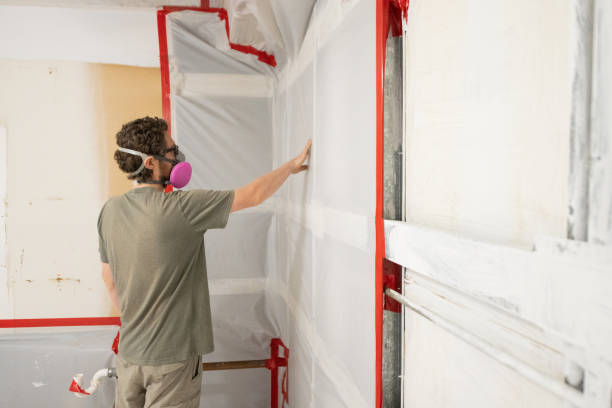 Best Mold Removal for HVAC Installations  in Auburndale, FL