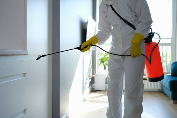 Best Mold Odor Removal Services  in Auburndale, FL