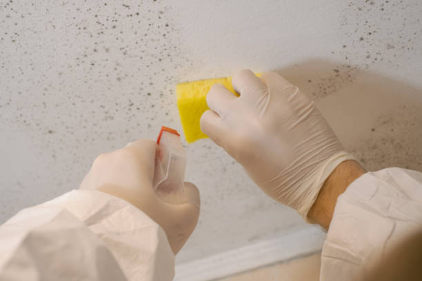 Best Post-Remediation Verification Testing  in Auburndale, FL