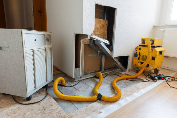Mold Documentation for Insurance Claims in Auburndale, FL