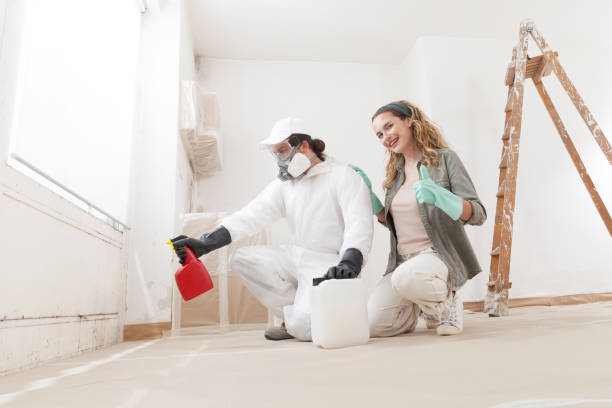 Best Water Damage & Mold Remediation  in Auburndale, FL